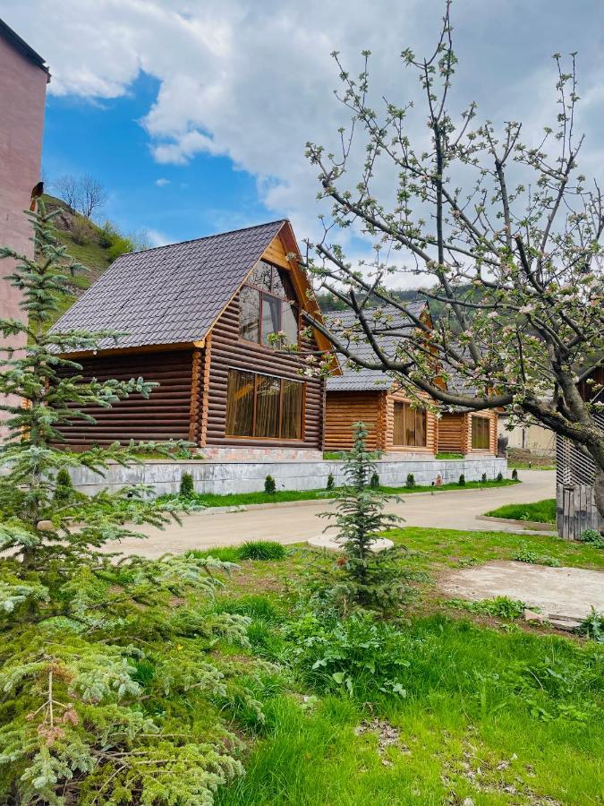 Riverside Eco Resort Debed Εξωτερικό φωτογραφία